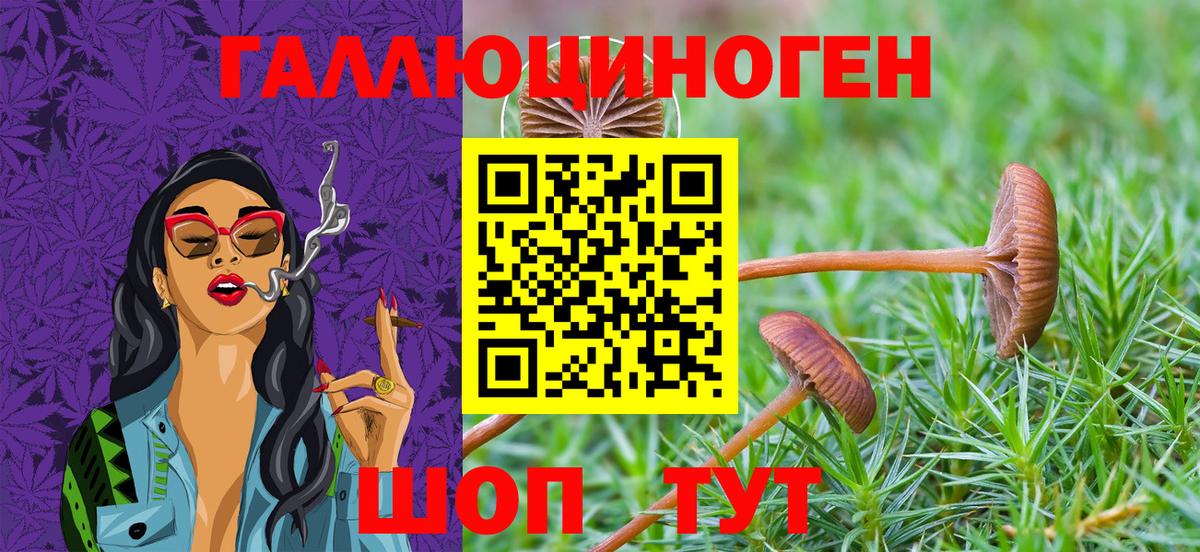 Таганрог  Галлюциногенные грибы прущие грибы  купить наркоту  Вход с VPN 